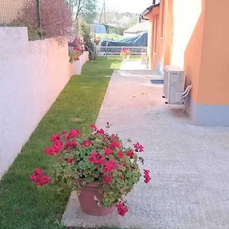 Shankini Apartamento