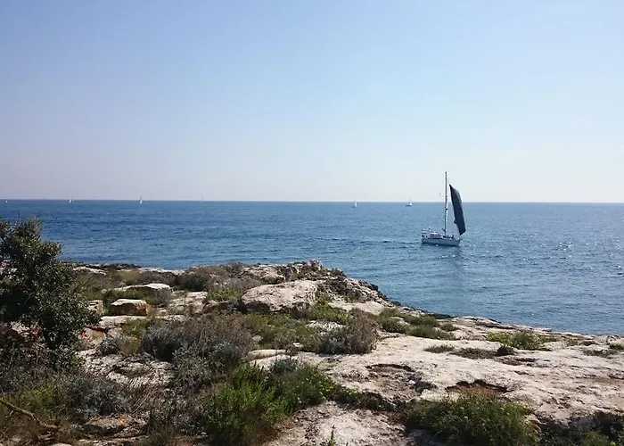 Shankini Pula